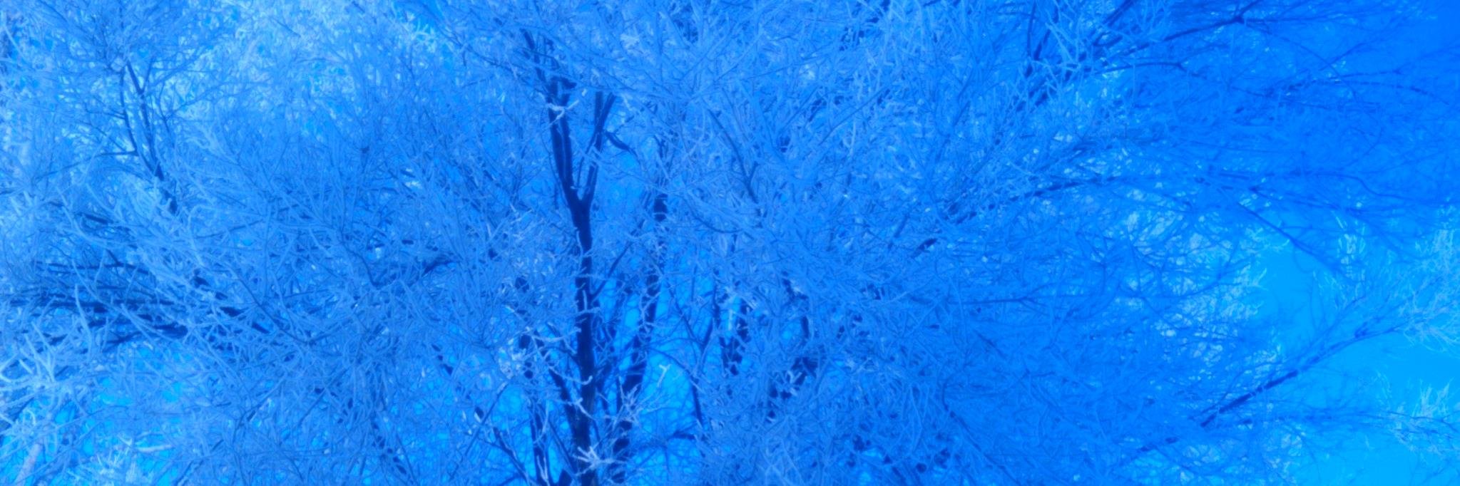 StormnNorm   ن banner