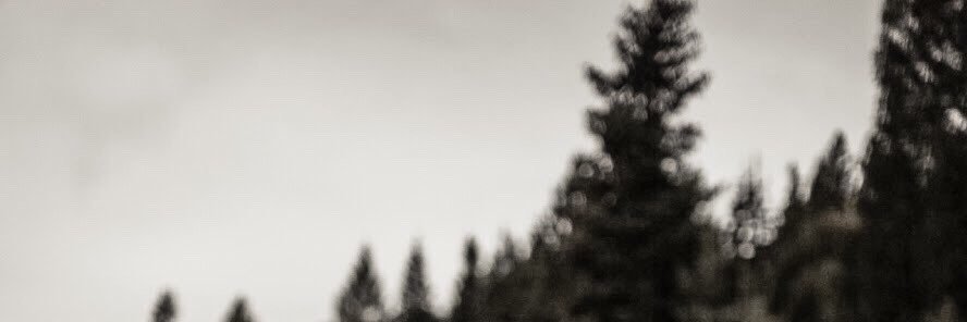 madi_atkinson's profile banner image