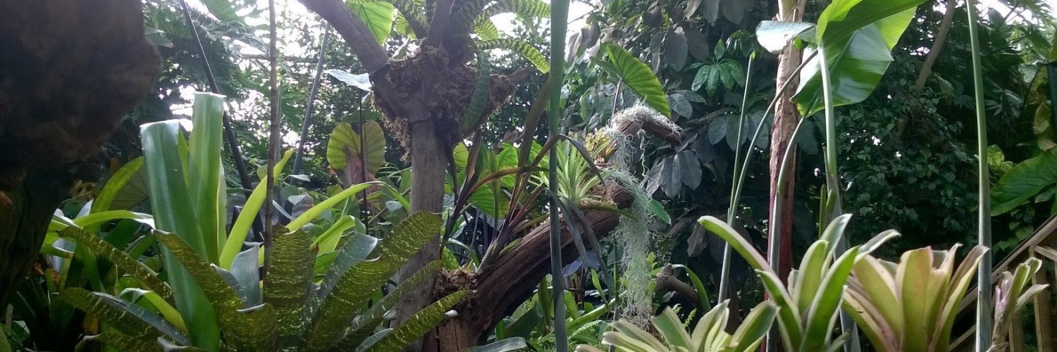 Living Rainforest banner