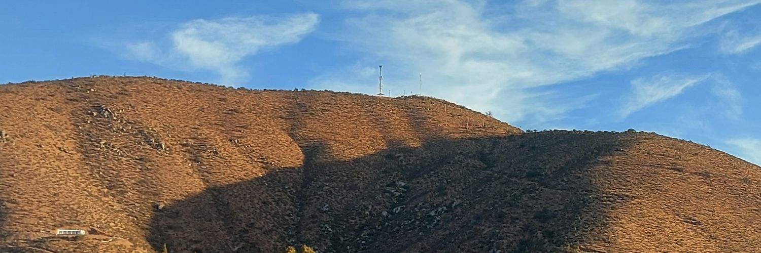 vor1981's profile banner image