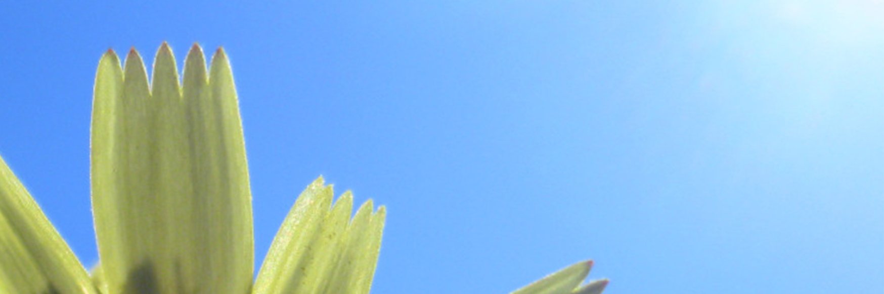 MaudStevers's profile banner image