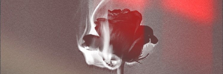 Lesendary's profile banner image