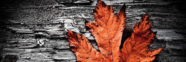 HeatherMoyse's profile banner image