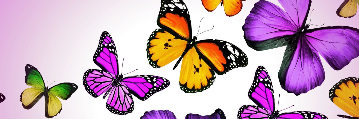 hmdhvb's profile banner image