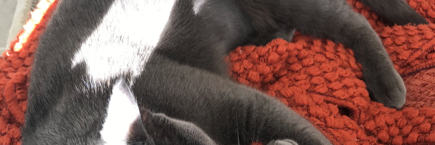 mishyone's profile banner image