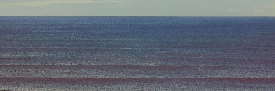 alimoy85's profile banner image