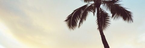 digital_rol's profile banner image