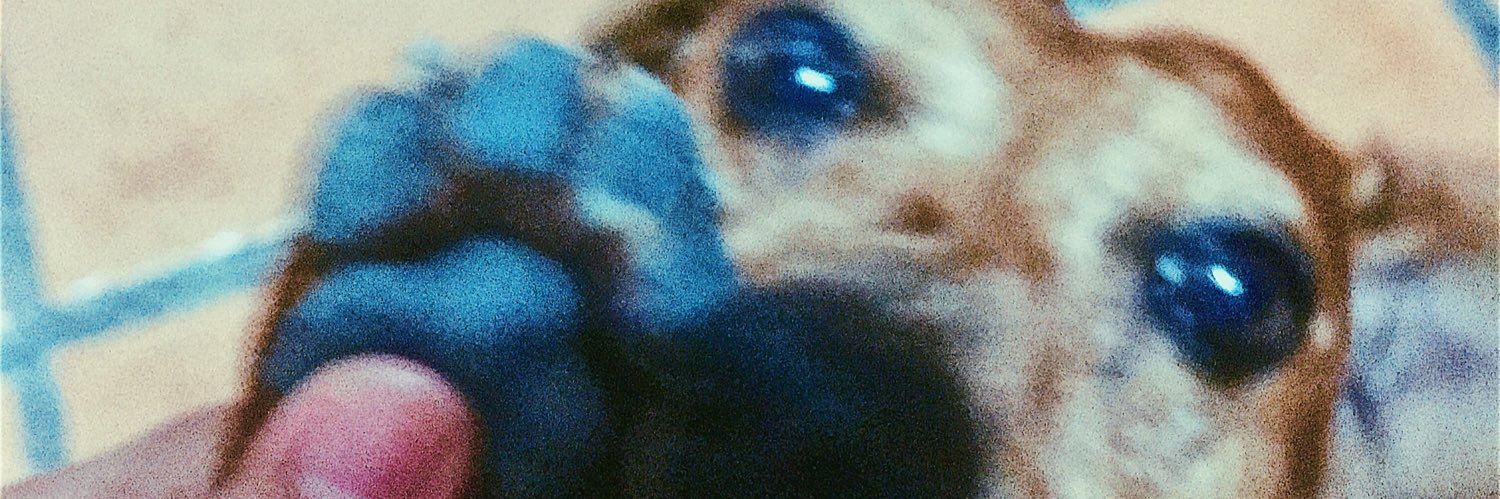_imfergalicious's profile banner image