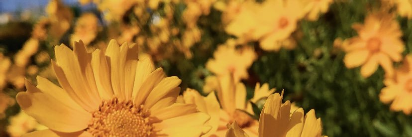 AAnnetteK's profile banner image