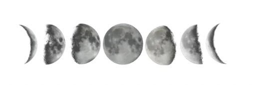 bedo2014s1's profile banner image