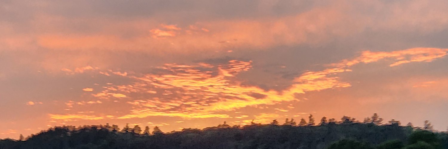 Annette  Hyttinen banner