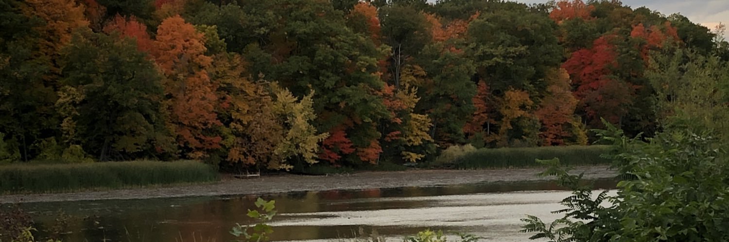 Alison Martin banner