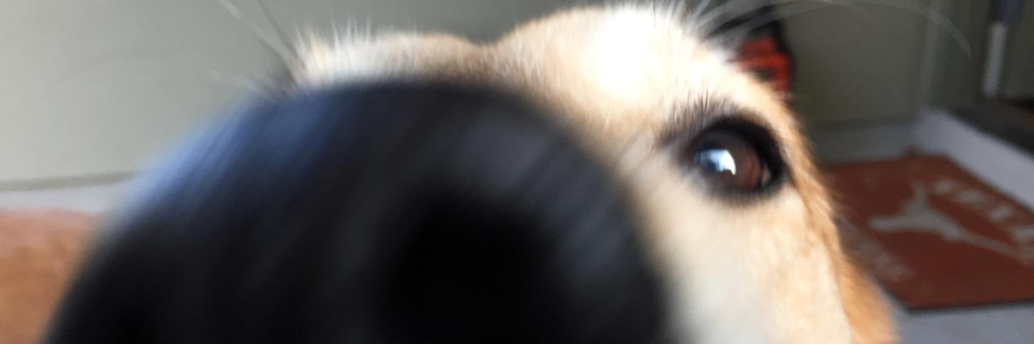 stevewinograd's profile banner image