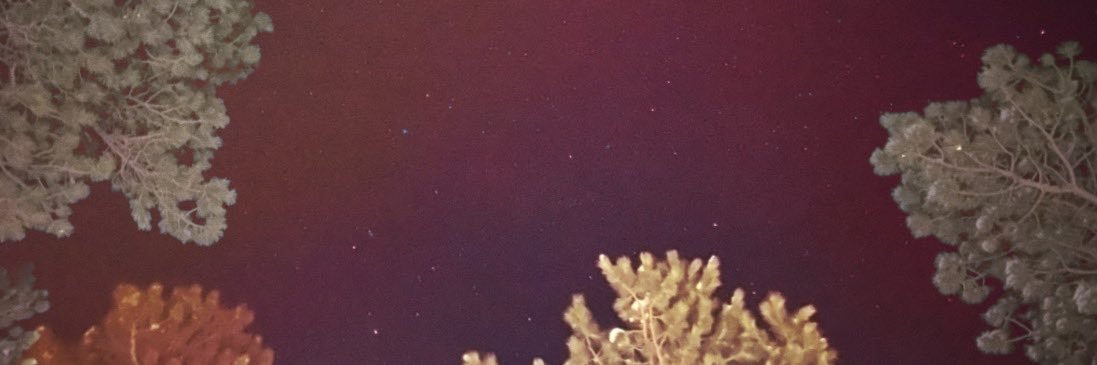 KenzieKilroy's profile banner image