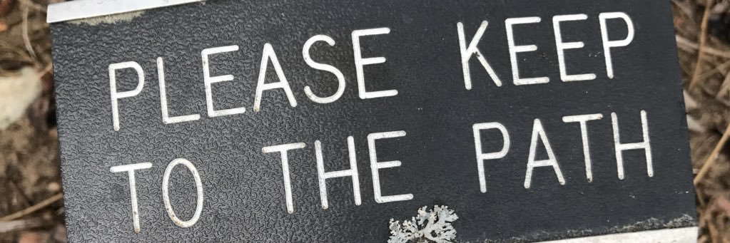 MikeFredMoar's profile banner image