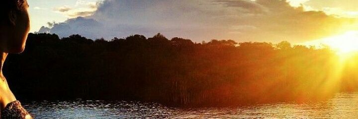 MartaBiotec's profile banner image
