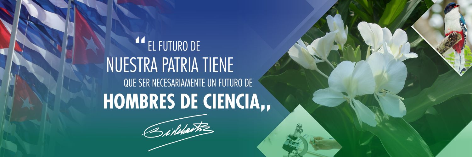 Ministerio de Ciencia, Tecnología y Medio Ambiente banner