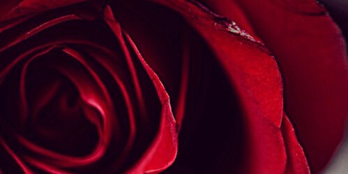 ariclaark's profile banner image