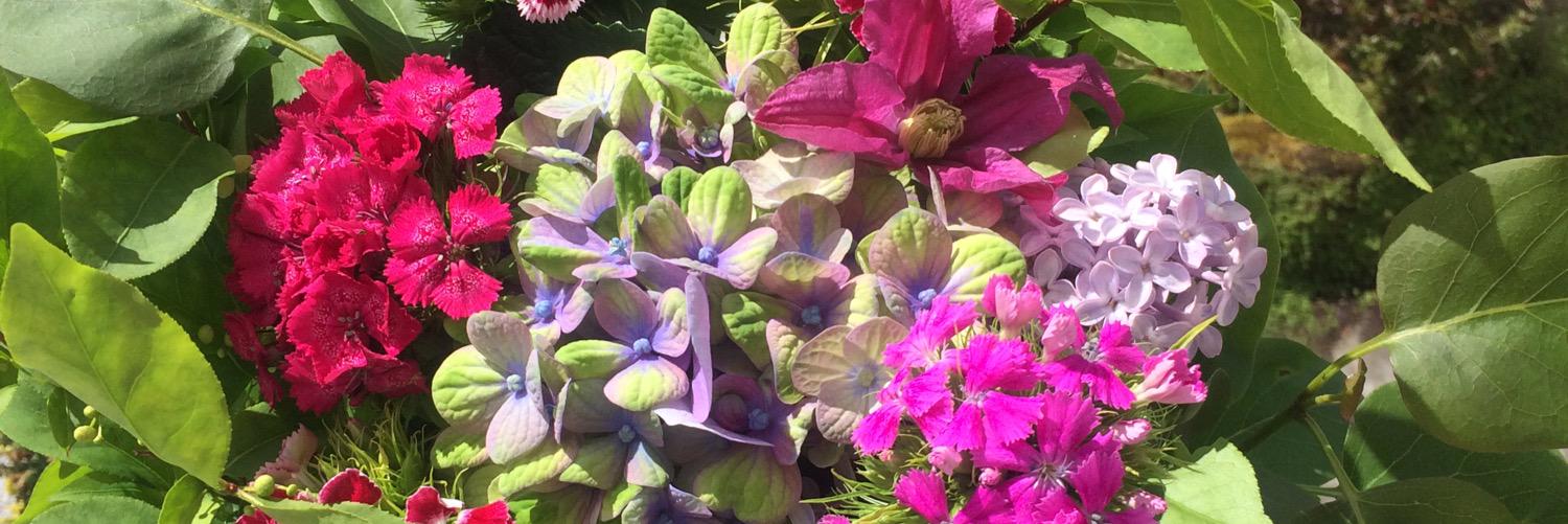 The Tin Snail banner