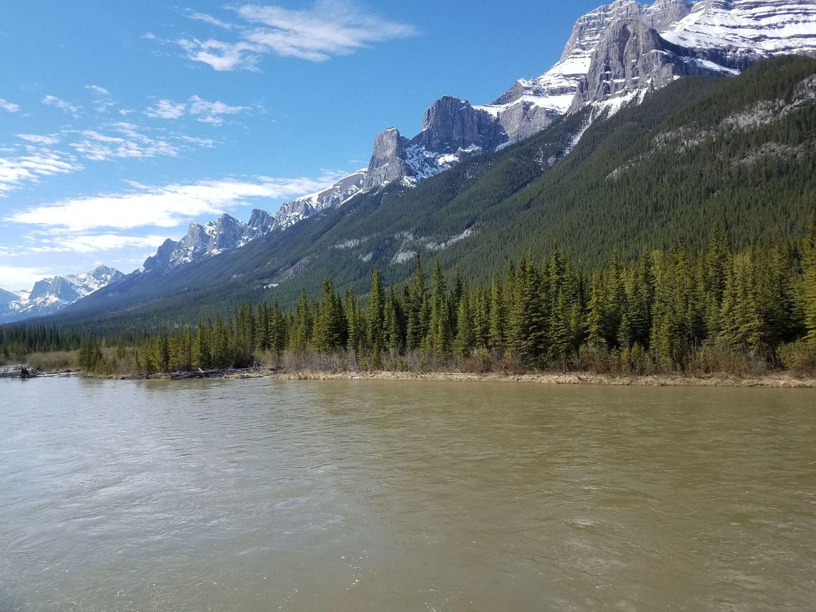 Shannon Schwab banner