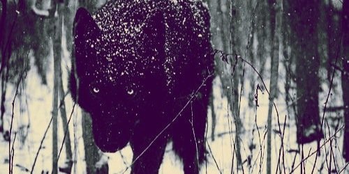 G_Tuohy's profile banner image