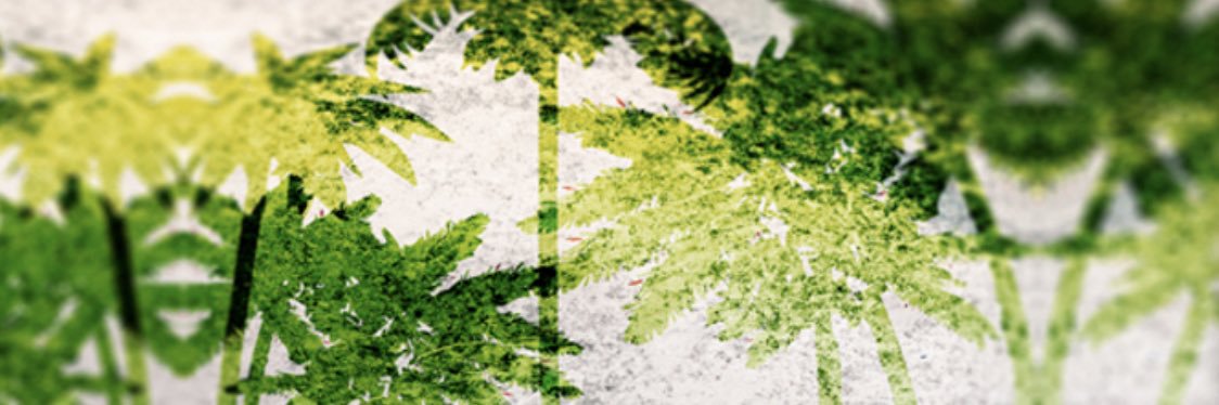 axisunity's profile banner image