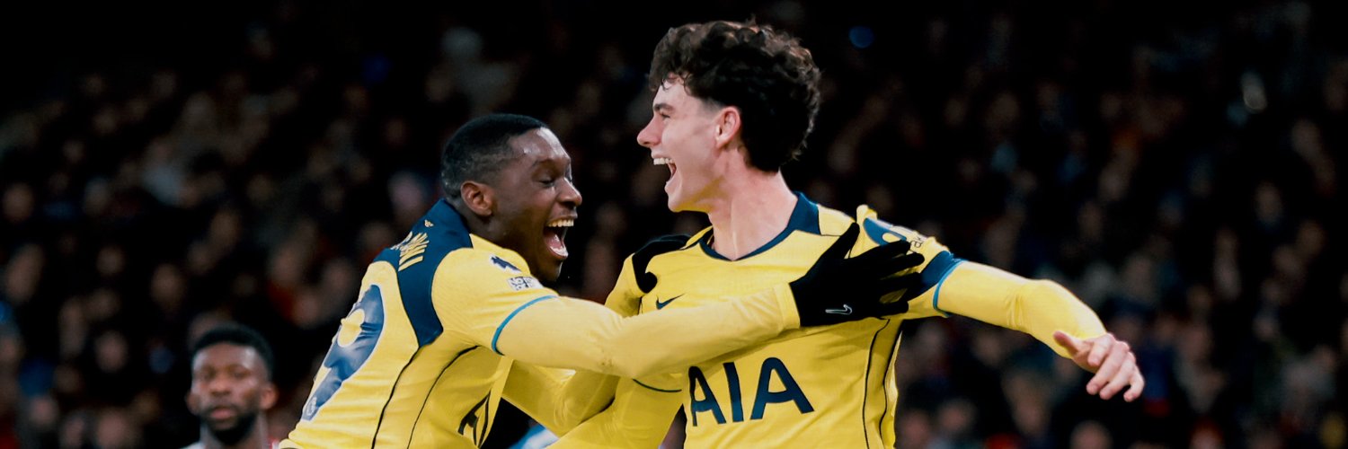 Tottenham Hotspur banner