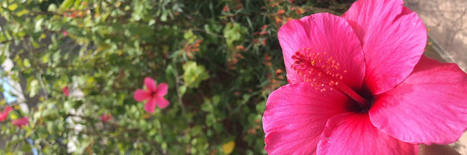 breeanareid's profile banner image