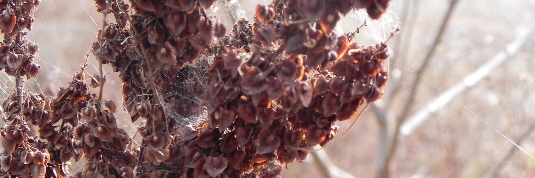 audreyehking's profile banner image