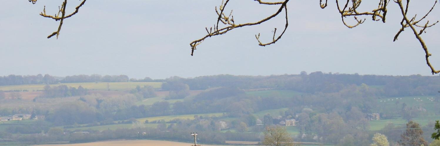 Martin Edwards banner