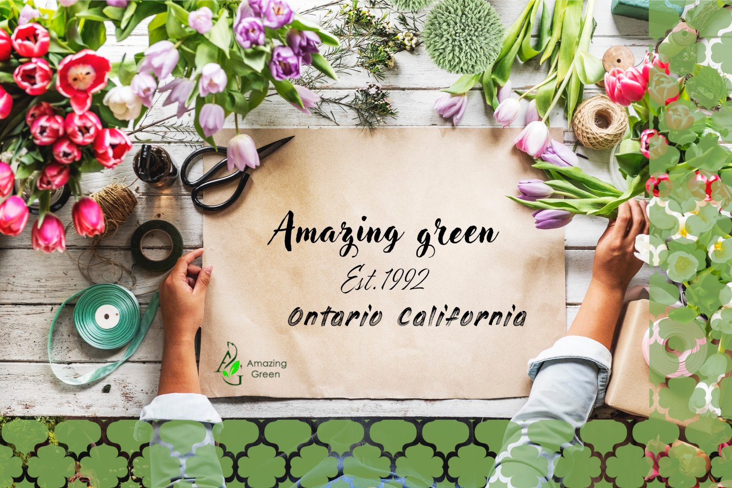 AmazingGreenInc's profile banner image