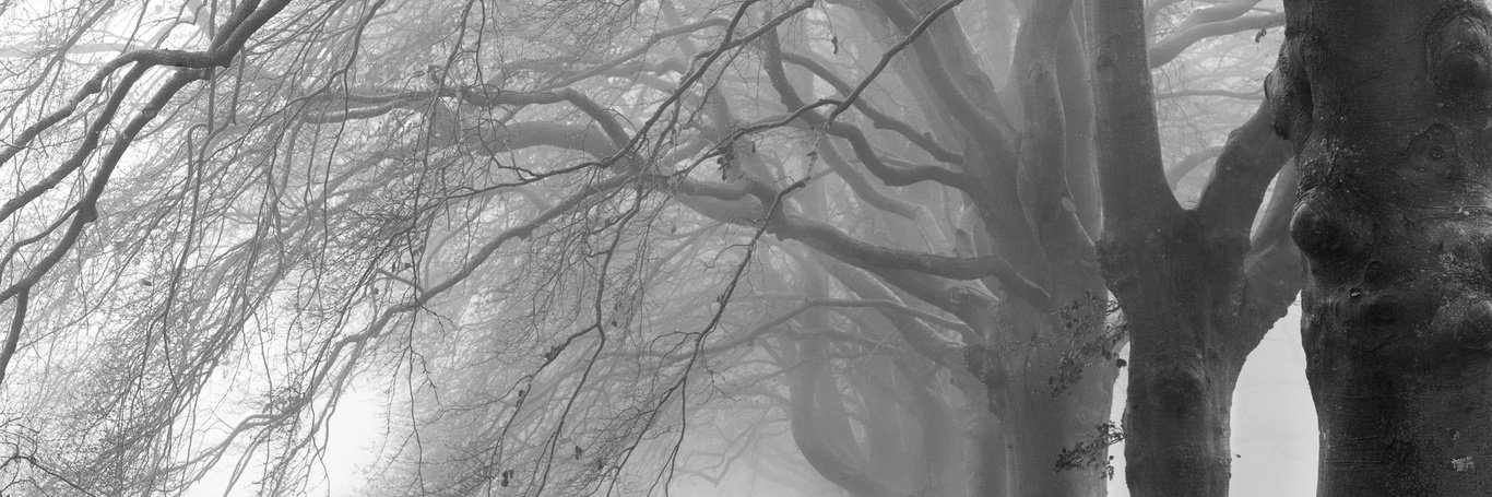 RARM09's profile banner image