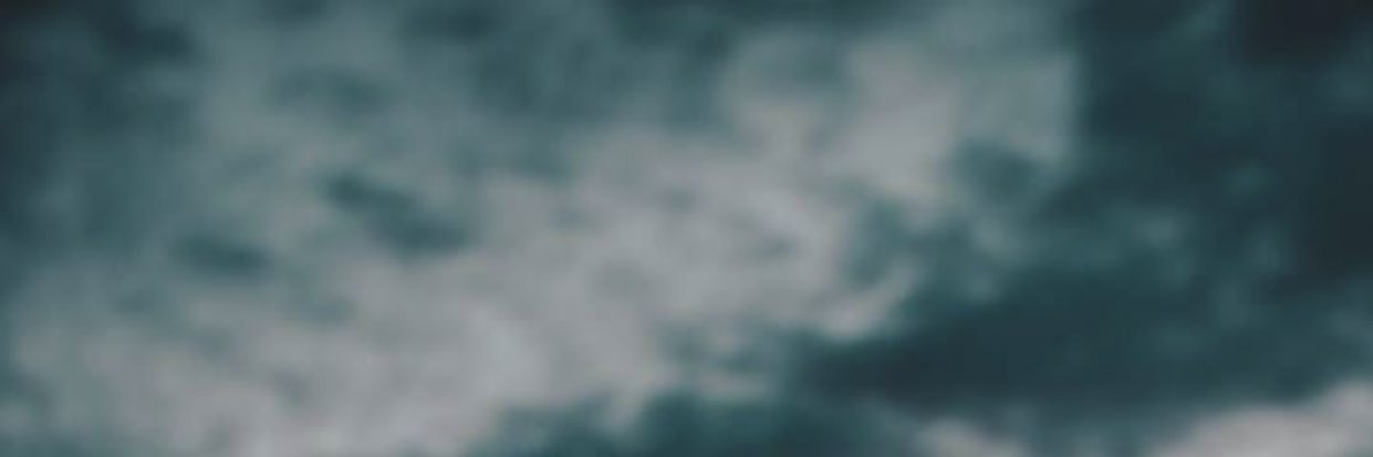 Julieta Tomacelli banner