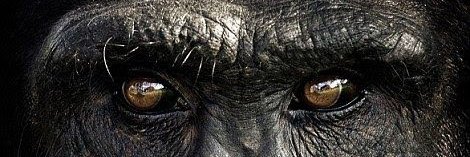 ELMICOINMORAL's profile banner image