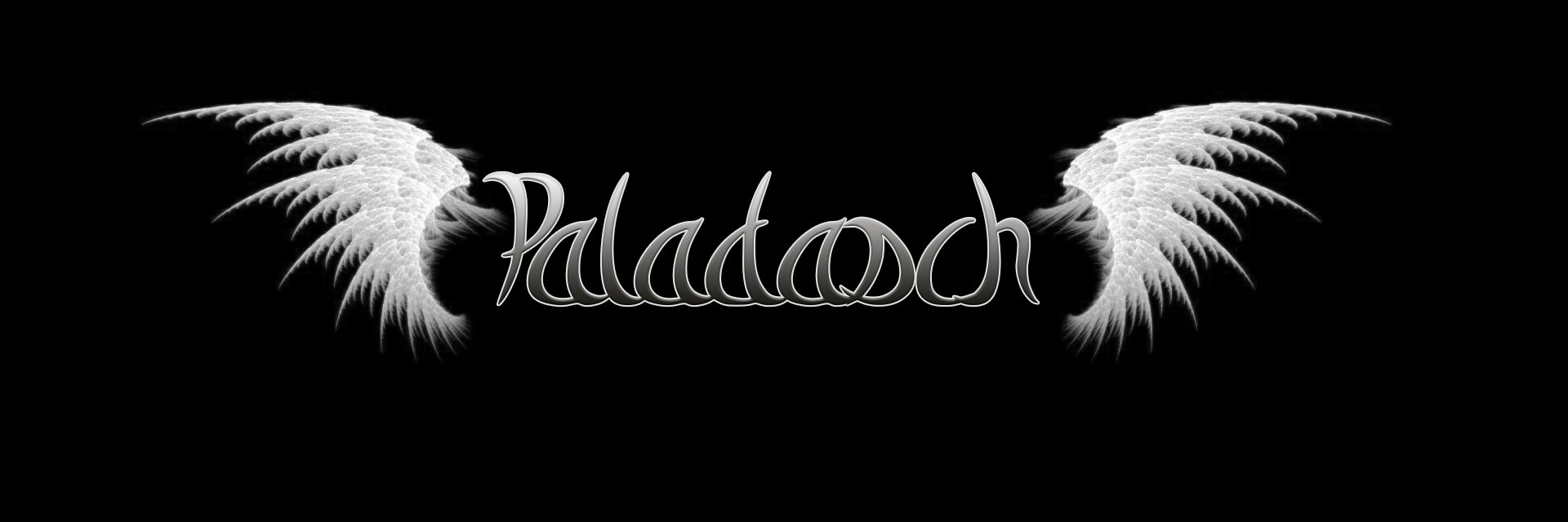 Paladasch's profile banner image