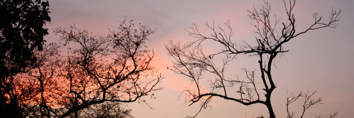 marioecv6's profile banner image