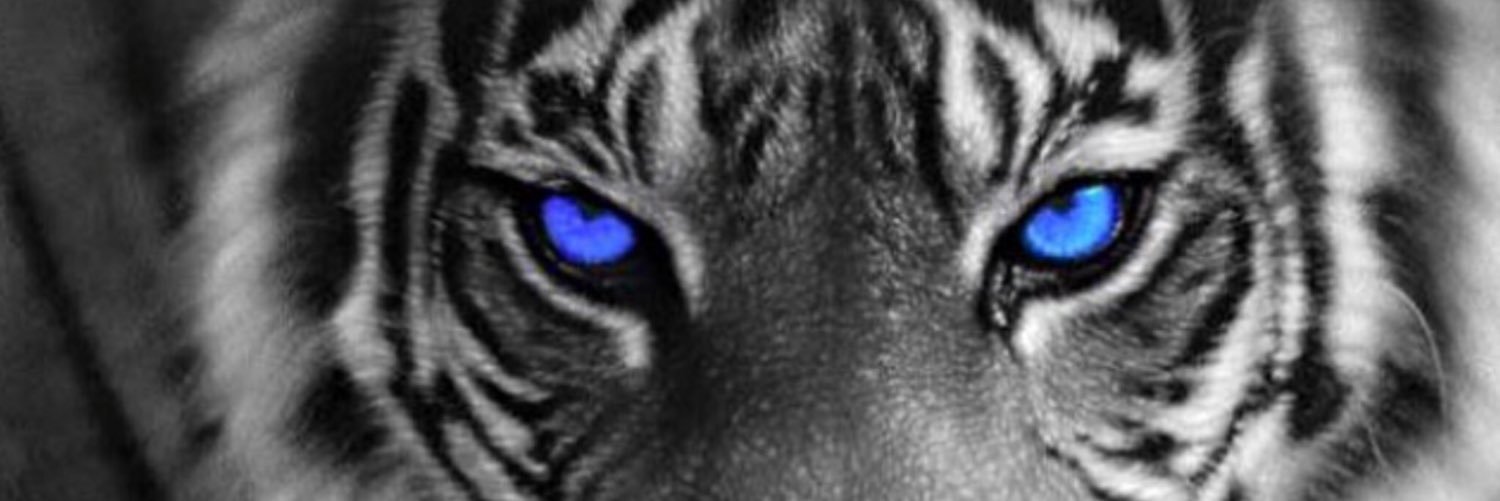 RussBrasfield's profile banner image