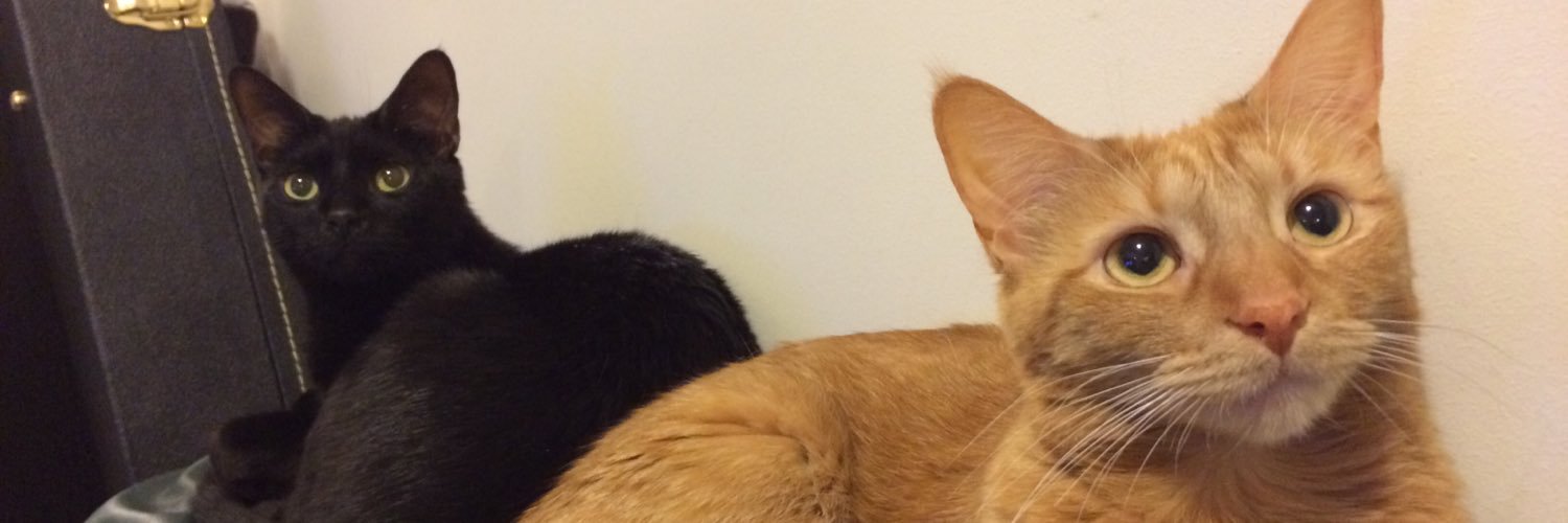 meaghanfisher's profile banner image