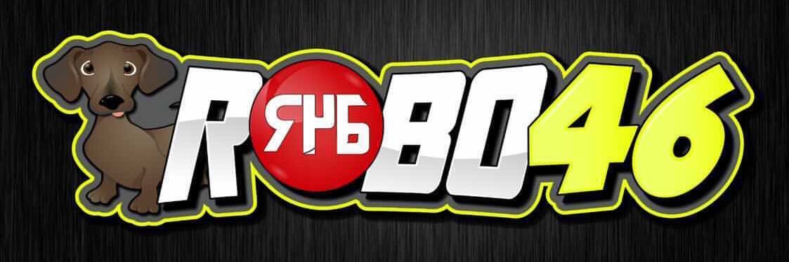 ROBO46's banner