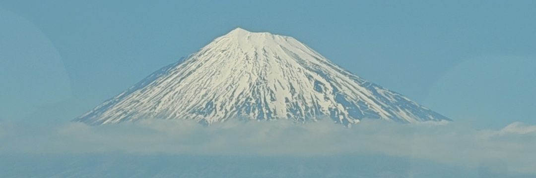 karliciosa's profile banner image