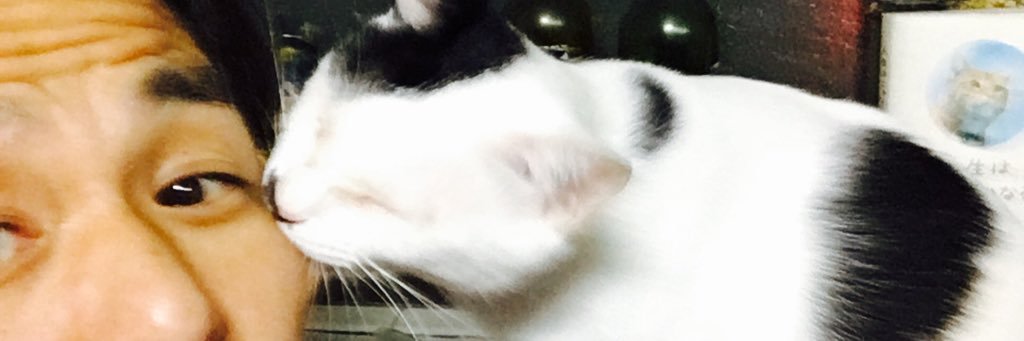 tatsu10276's profile banner image