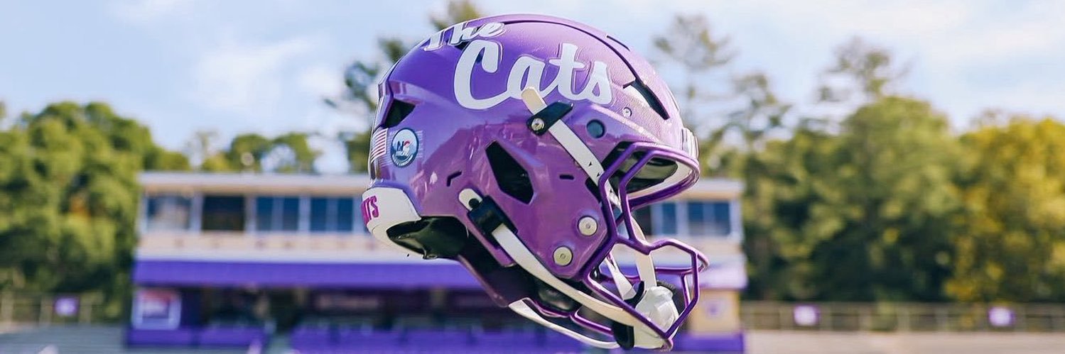 Western Carolina Football banner