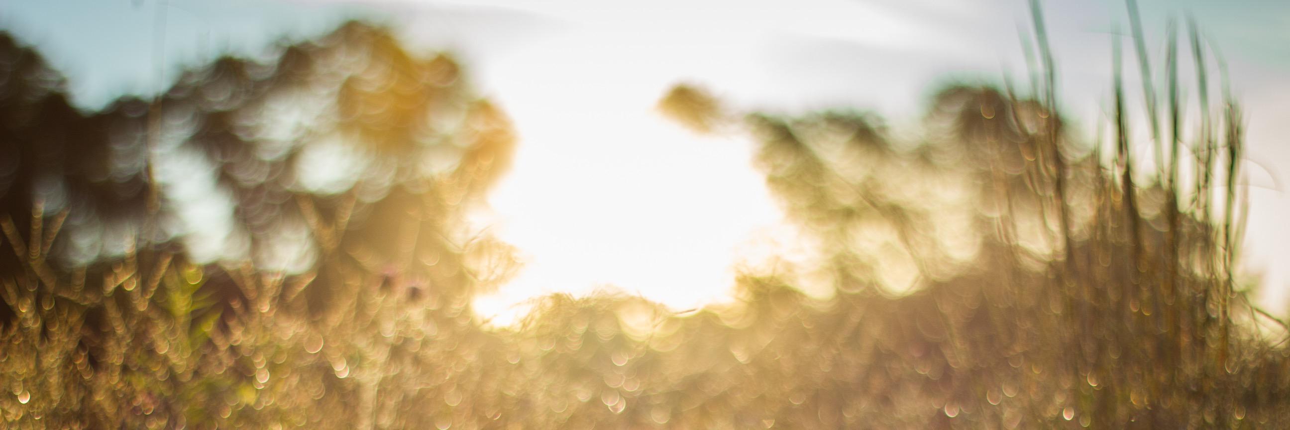 George Middlebrooks banner