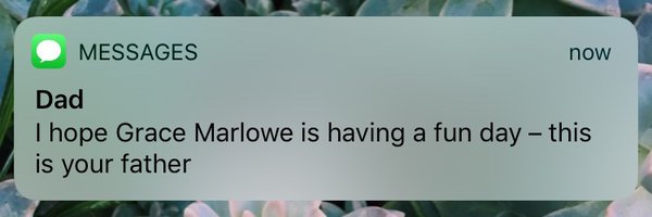 graceofthecurls Profile Banner