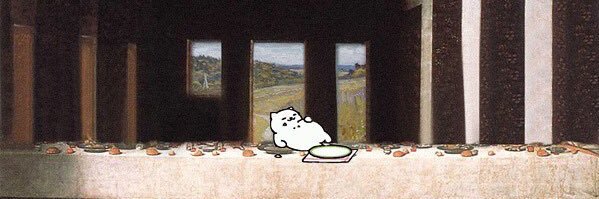 locagatoo's profile banner image