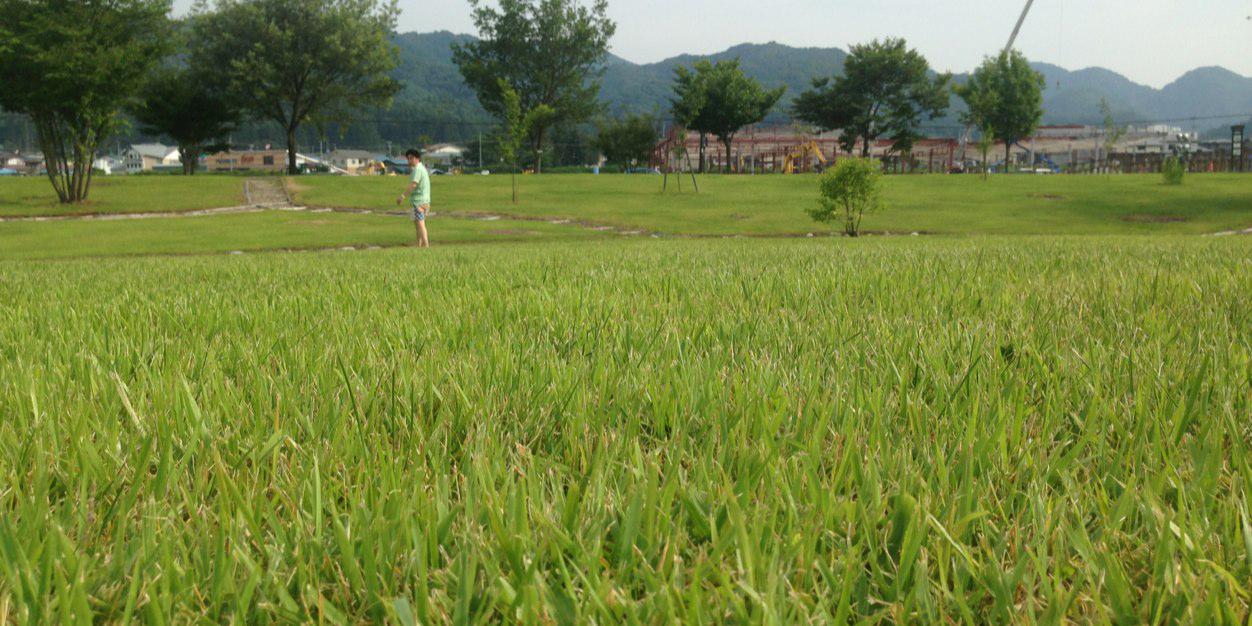 中村 壱太郎 ( Nakamura Kazutaro ) banner