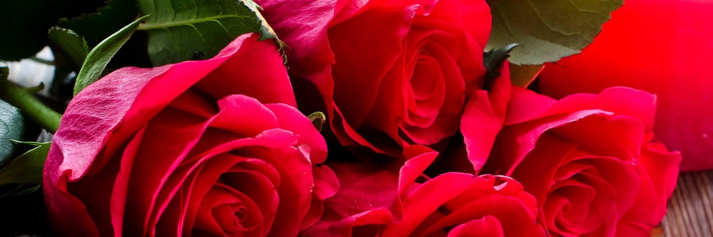 MelissaSmoyer's profile banner image