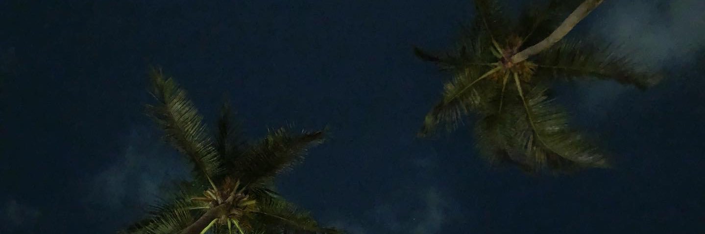 Petr0ova____'s profile banner image
