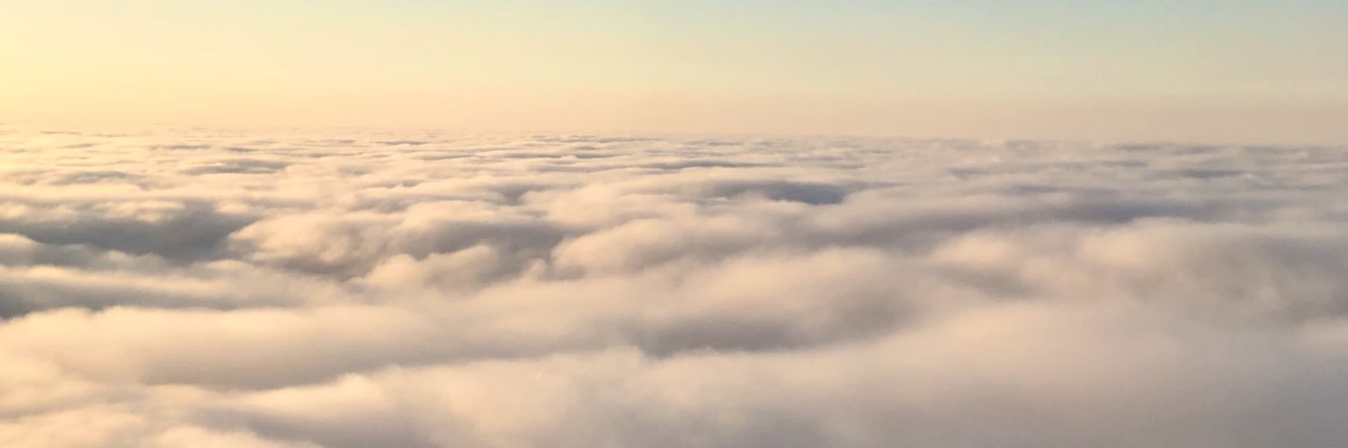 Lucy Val Pelt banner