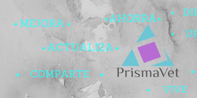prismavet's profile banner image